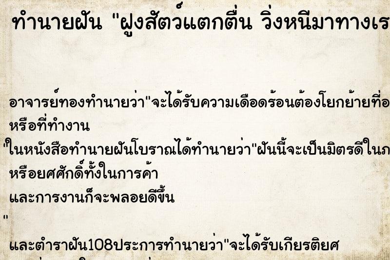 ทำนายฝัน ฝูงสัตว์แตกตื่น วิ่งหนีมาทางเรา แต่เราหลบได้ ทำนายฝัน ฝูงสัตว์แตกตื่น วิ่งหนีมาทางเรา แต่เราหลบได้